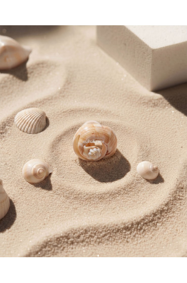Bali Handmade Shell Rings
